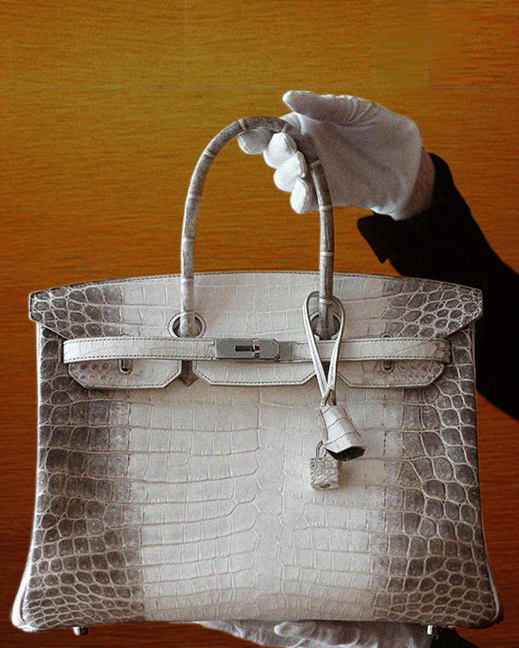 HERMÉS' BIGGEST CROCODILE FARM RAISES CONCERNS FOR NEW PANDEMICS