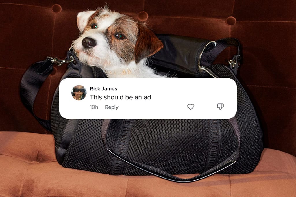 CULTED COMMUNITY TALKS: THIS DOG HAS MIU MIU ENERGY