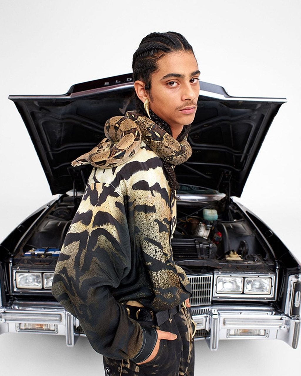 REIMAGINING ROBERTO CAVALLI