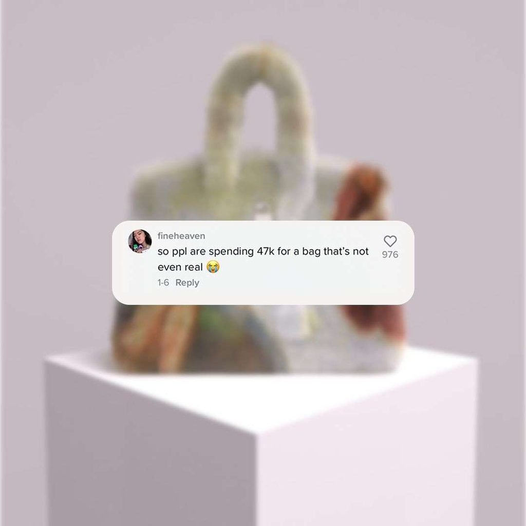 THE CULTED COMMUNITY WEIGHS IN ON THE ONGOING METABIRKIN & HERMÈS DRAMA