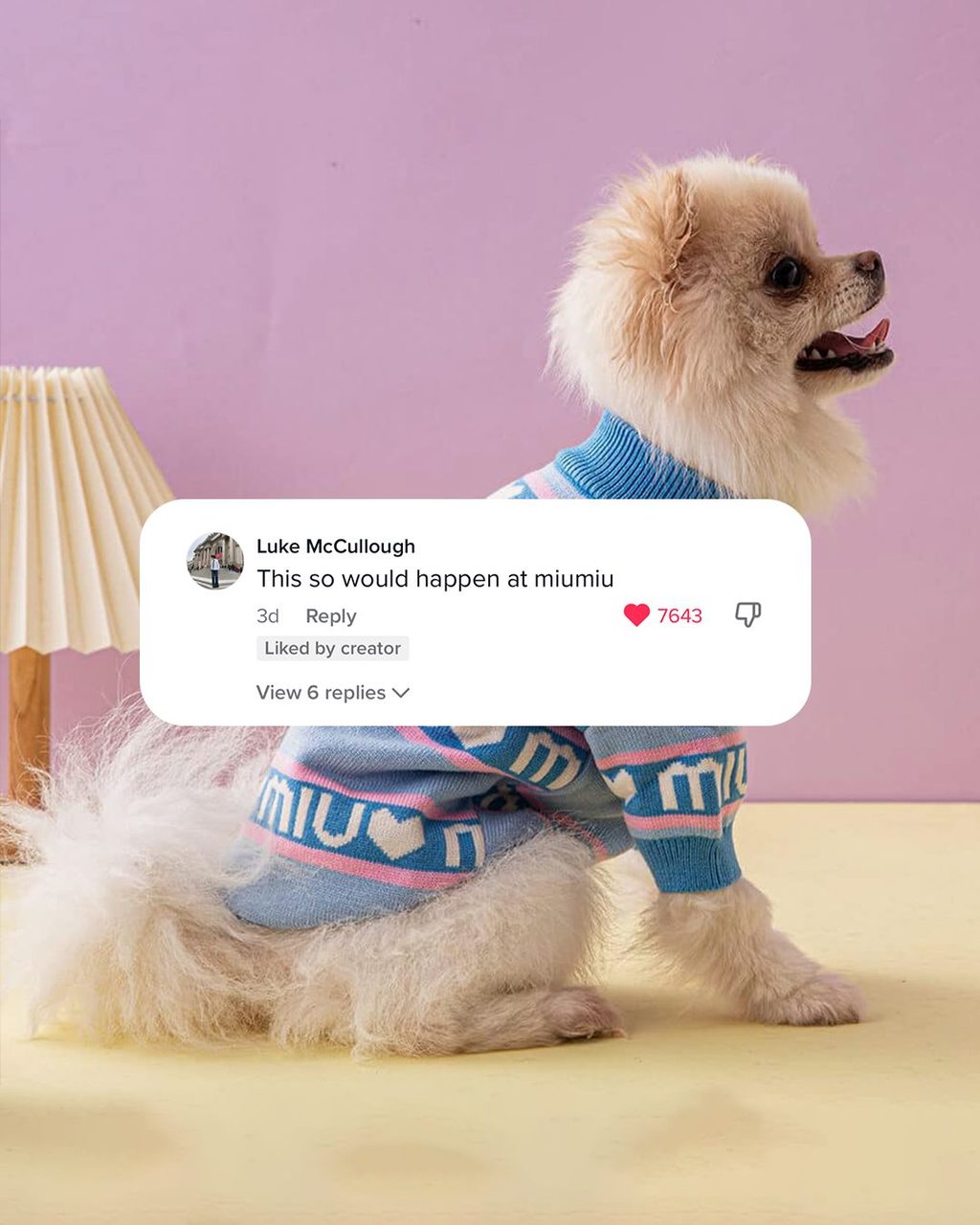 CULTED COMMUNITY TALKS: THIS DOG HAS MIU MIU ENERGY