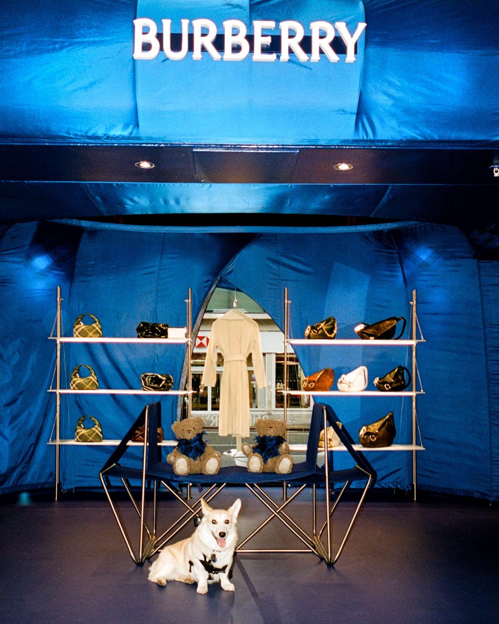 We took a Corgi to sniff out the new Burberry x Harrods takeover