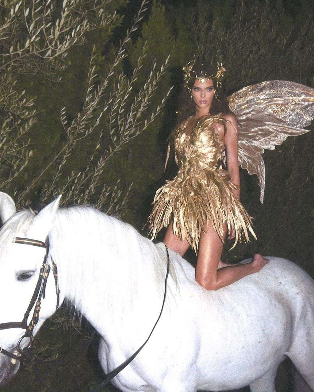 HAVEN’T YOU HEARD? HORSE GIRLS ARE COOL NOW