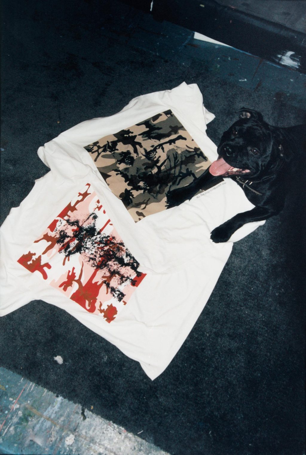 SOLDIER and Awake NY are designing for the dogs