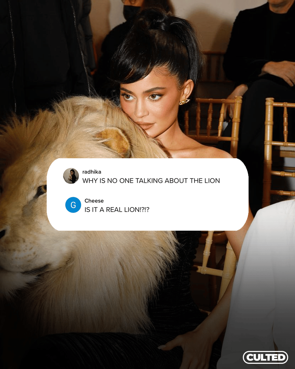 CULTED’S COMMUNITY TALKS: DOJA & KYLIE TURNING HEADS ON THE FROW