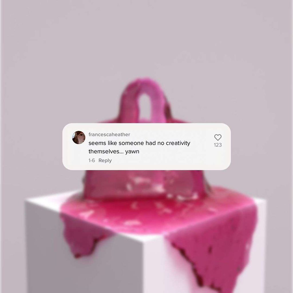 THE CULTED COMMUNITY WEIGHS IN ON THE ONGOING METABIRKIN & HERMÈS DRAMA