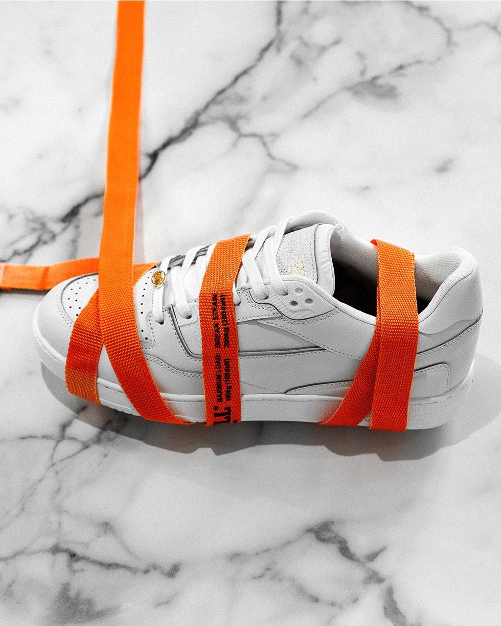 LACOSTE’S 90TH ANNIVERSARY CAMPAIGN & FIORUCCI’S PF23 COLLECTION: YOUR FRIDAY ROUNDUP