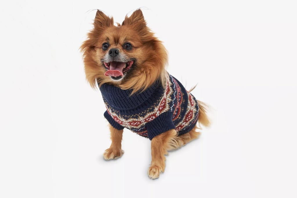 Culted’s holiday gift guide for procrastinators