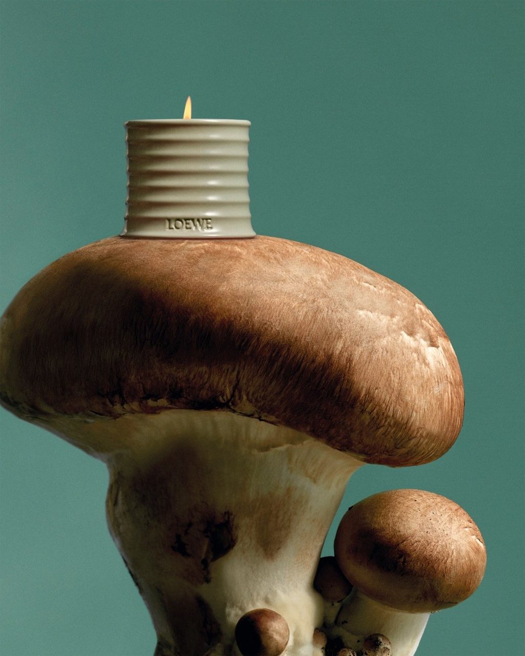 LOEWE Home Scents is here to elevate the smell of your home