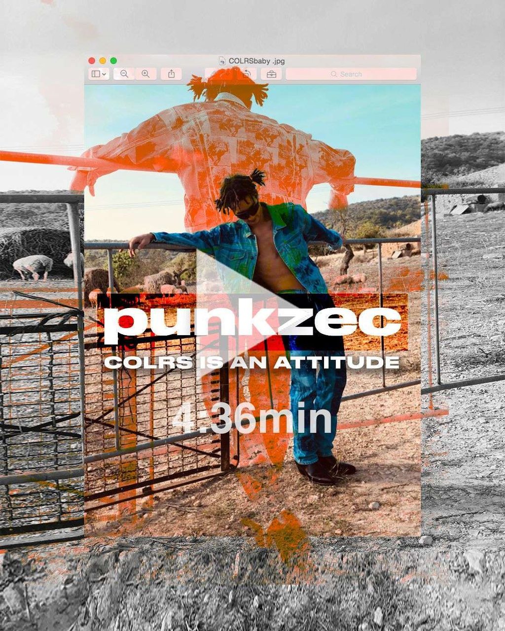 PUNKZEC: COLRS IS AN ATTITUDE
