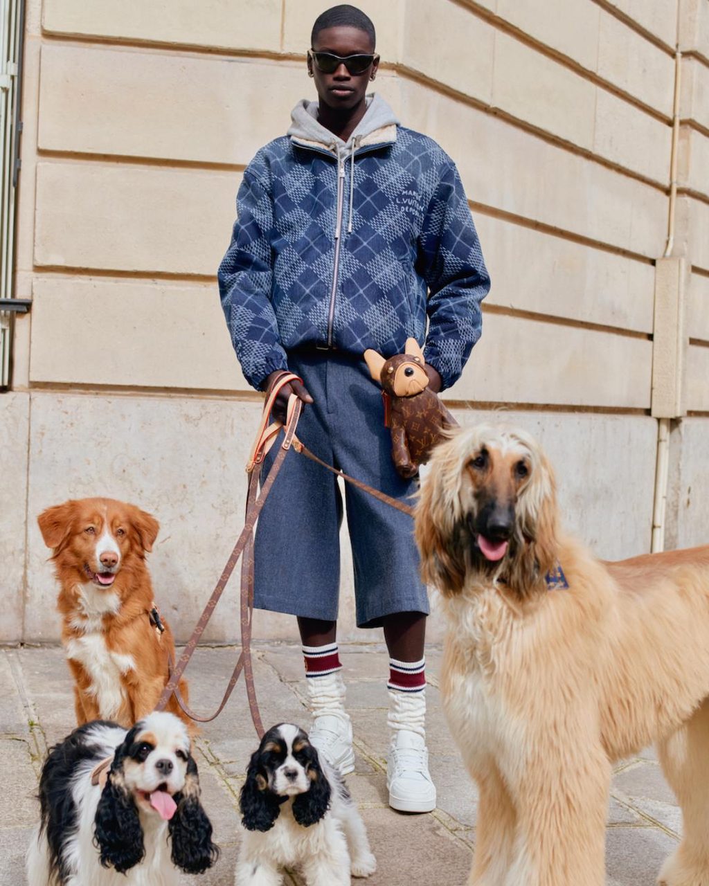 All bark and no bite: why are dogs dominating fashion right now?