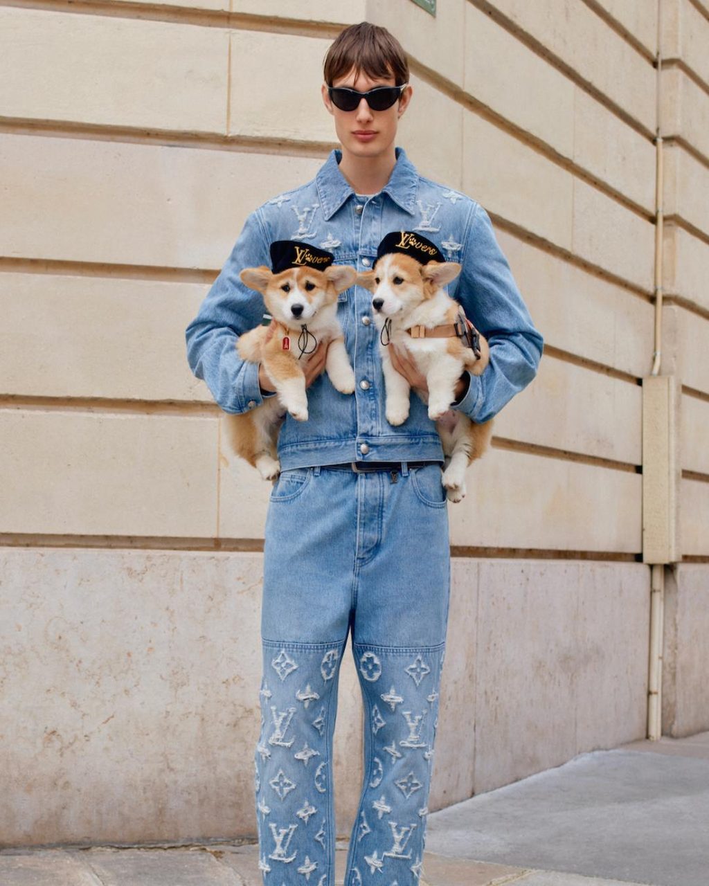 All bark and no bite: why are dogs dominating fashion right now?