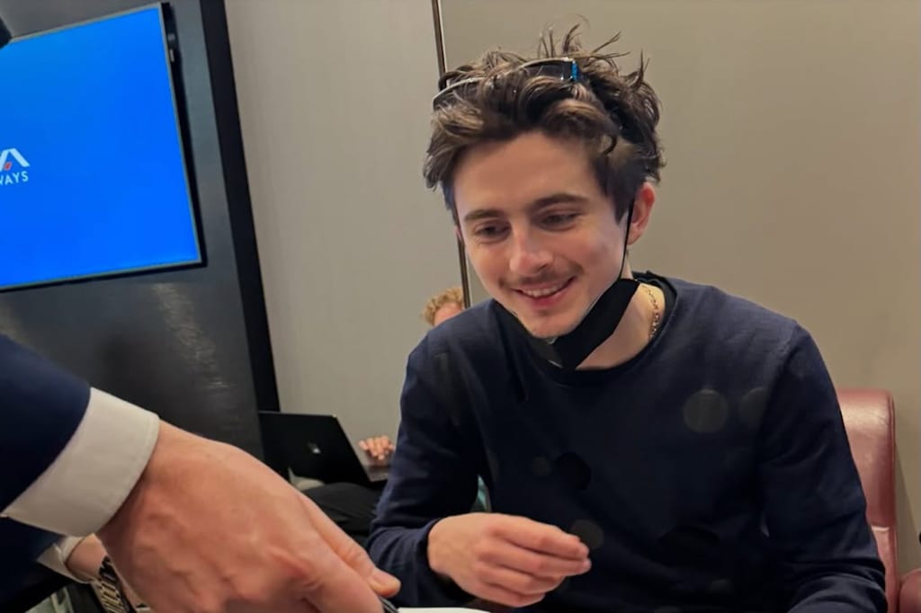 Why is Timothée Chalamet the Alex Consani of acting?