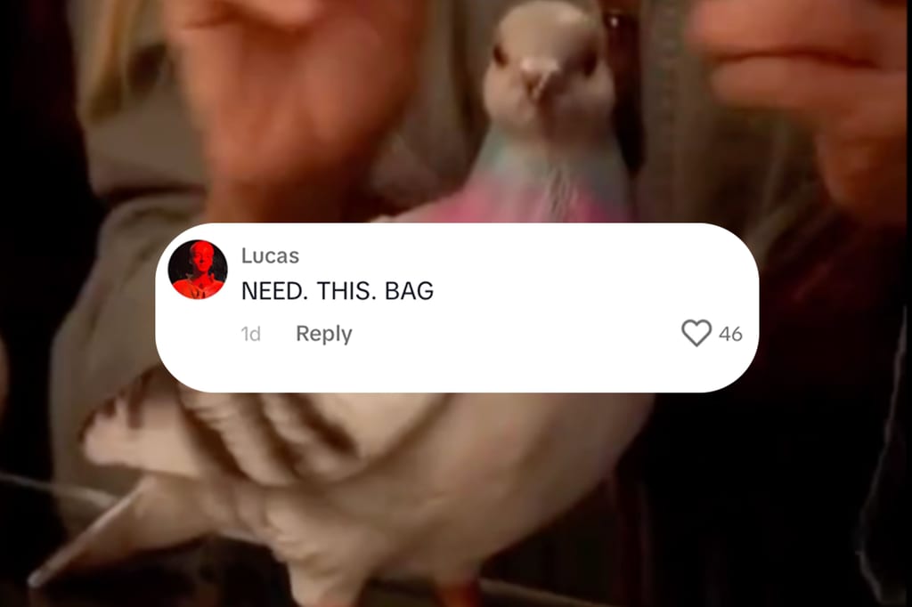 Culted Community talks: Do we hate or love Carrie Bradshaw's pigeon bag?