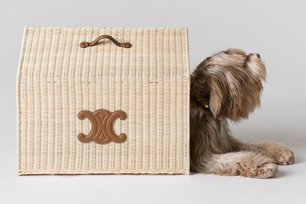 Your Monday Briefing: CELINE launches dog accessories, RIMOWA debuts its Signature Collection & more