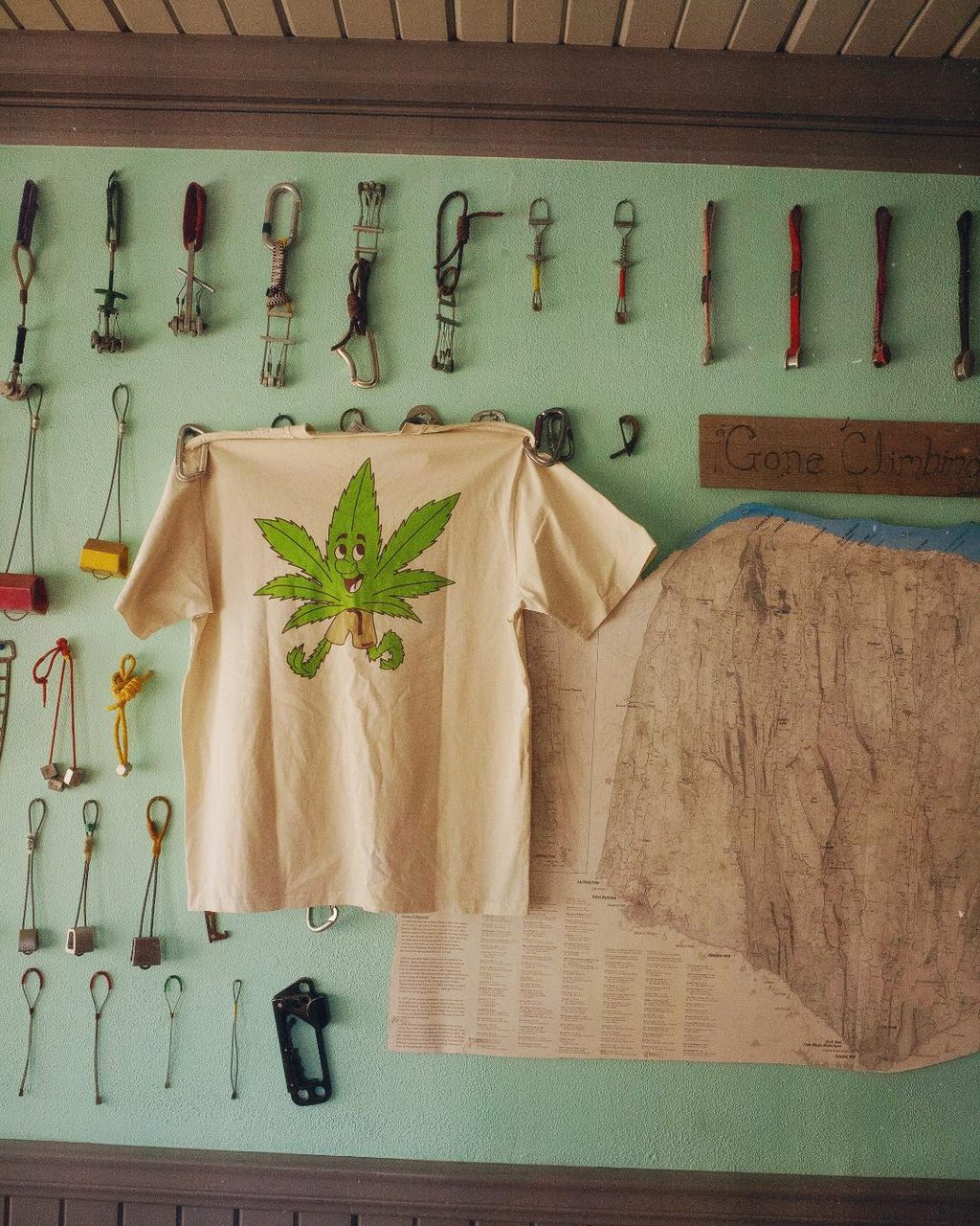 Gramicci gets greenfingers, HUGO revs into F1, & more this week