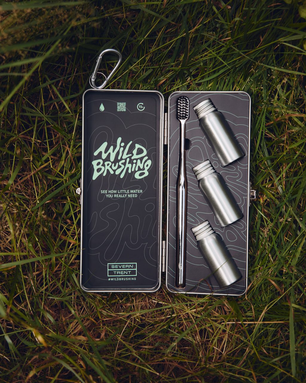 WILD BRUSHING 1