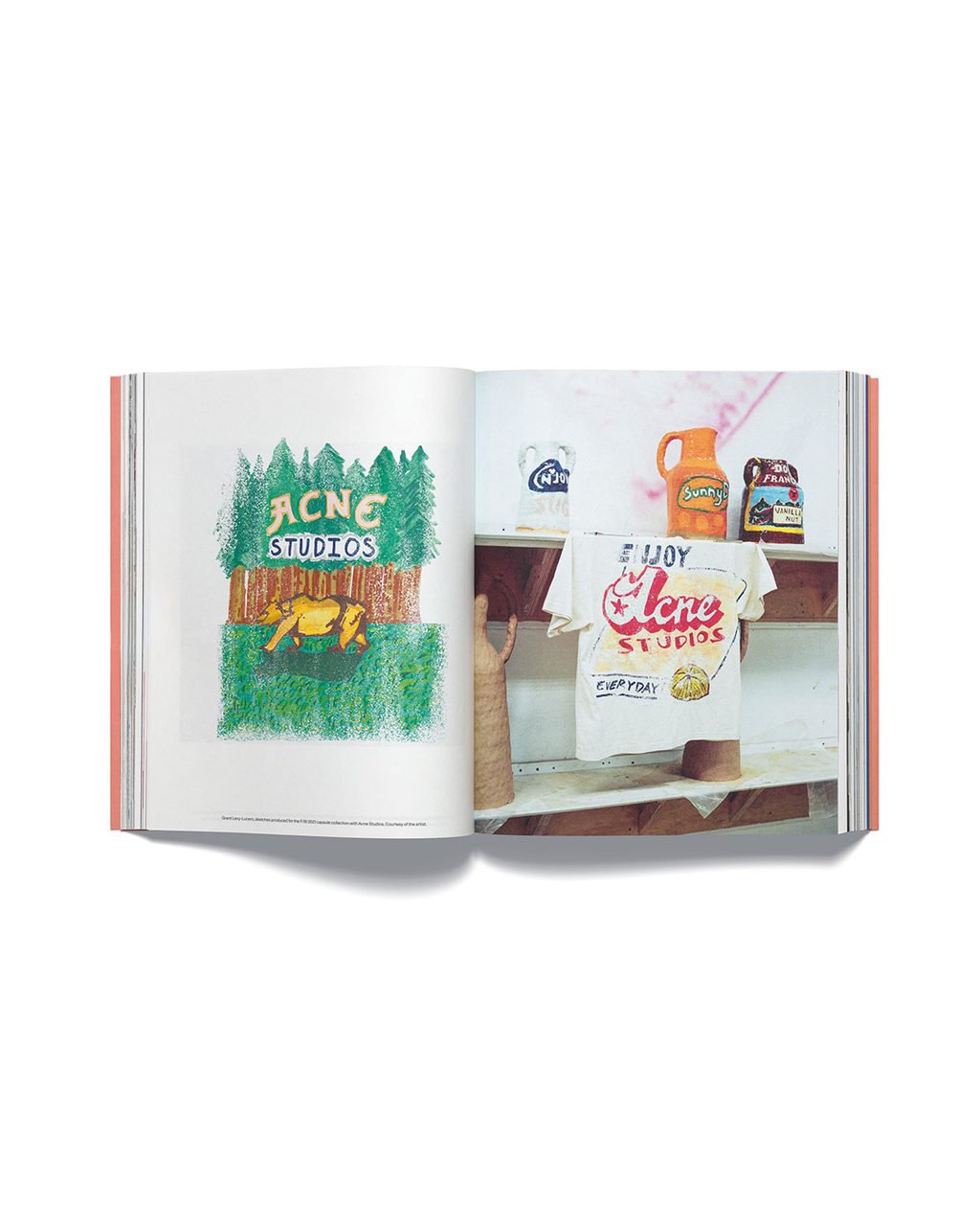 acne book 4