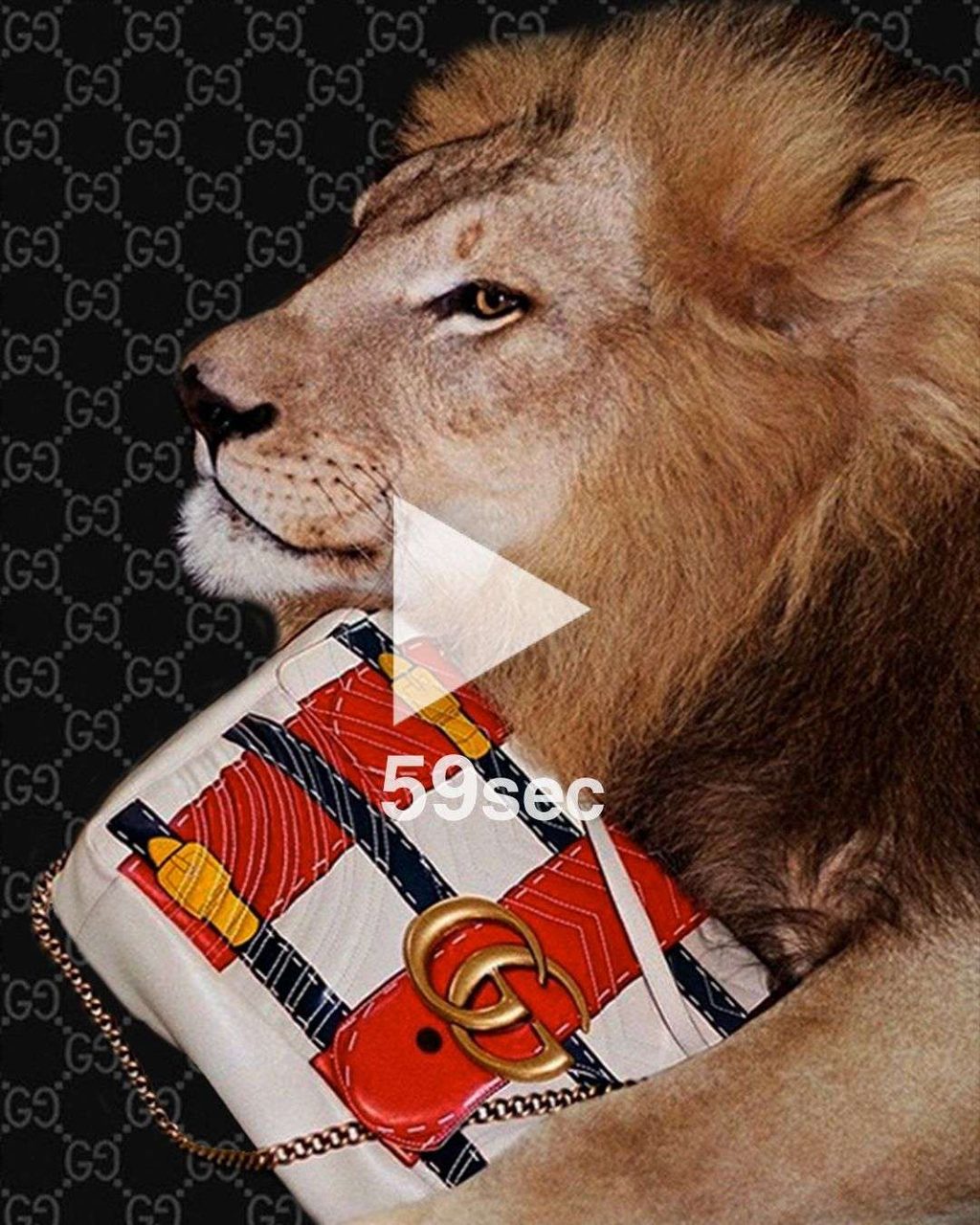 GUCCI TAKES ANOTHER STEP TO PROTECT WILDLIFE