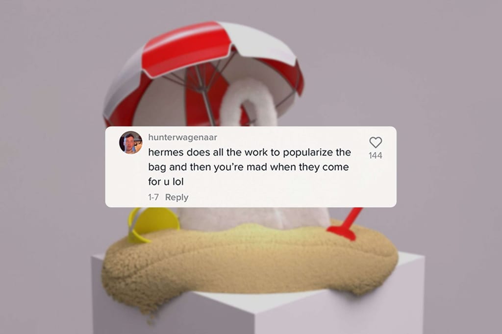 THE CULTED COMMUNITY WEIGHS IN ON THE ONGOING METABIRKIN & HERMÈS DRAMA