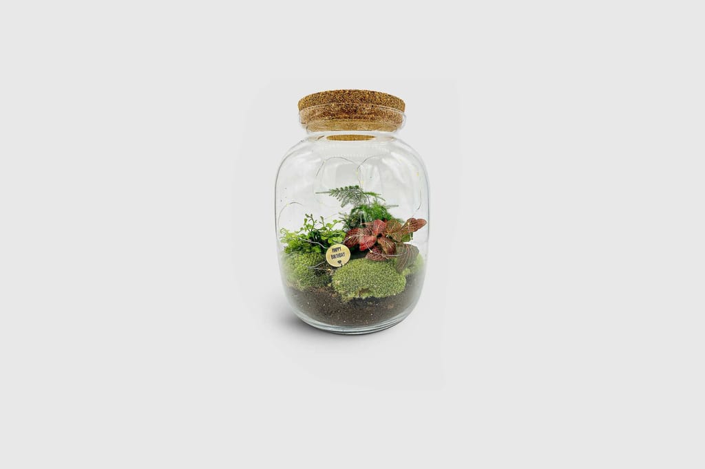 A SUSTAINABLE SHOPPING GUIDE, JUST IN TIME FOR EARTH DAY