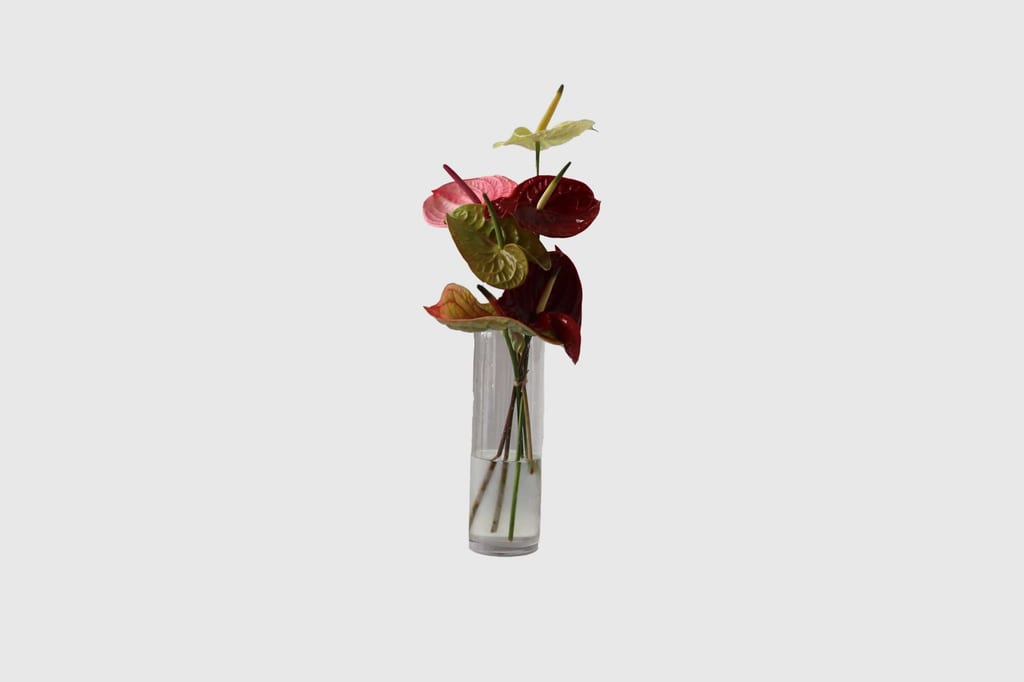OUR LAST-MINUTE GIFT GUIDE TO SAVE YOUR RELATIONSHIP COME MONDAY