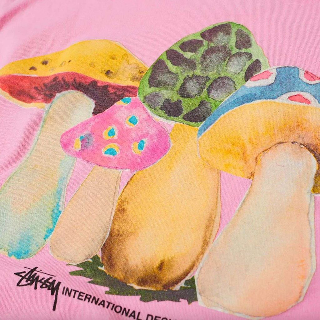 FROM TRIPPY TO TRENDY: MUSHROOMS IN YOUTH CULTURE