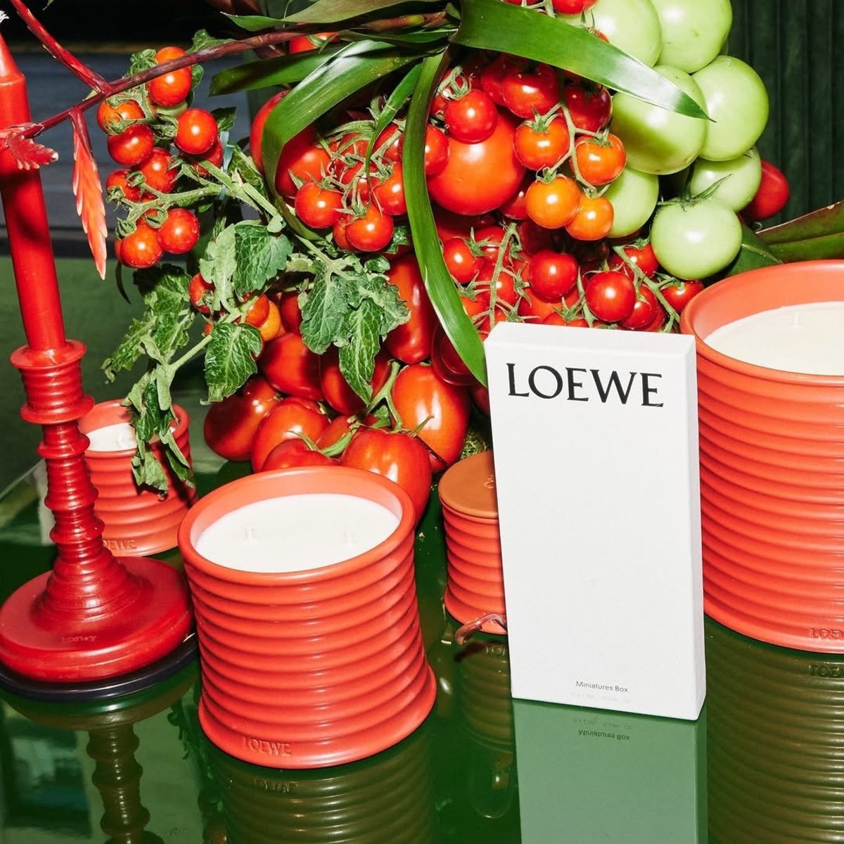 LOEWE Perfumes is taking over Selfridges Corner Store this summer 