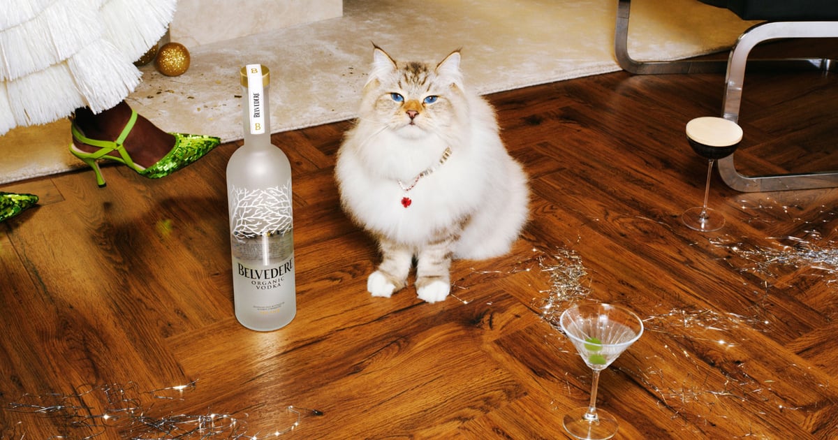 Belvedere is blurring the lines between luxury and culture