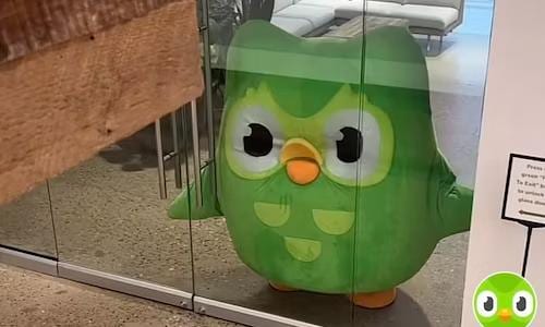 Why is the Duolingo owl like that?